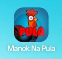 Manok Na Pula app icon on an Android home screen after installation